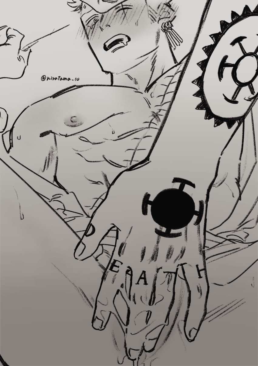 Roronoa Zoro (One Piece) Rule 34 Image