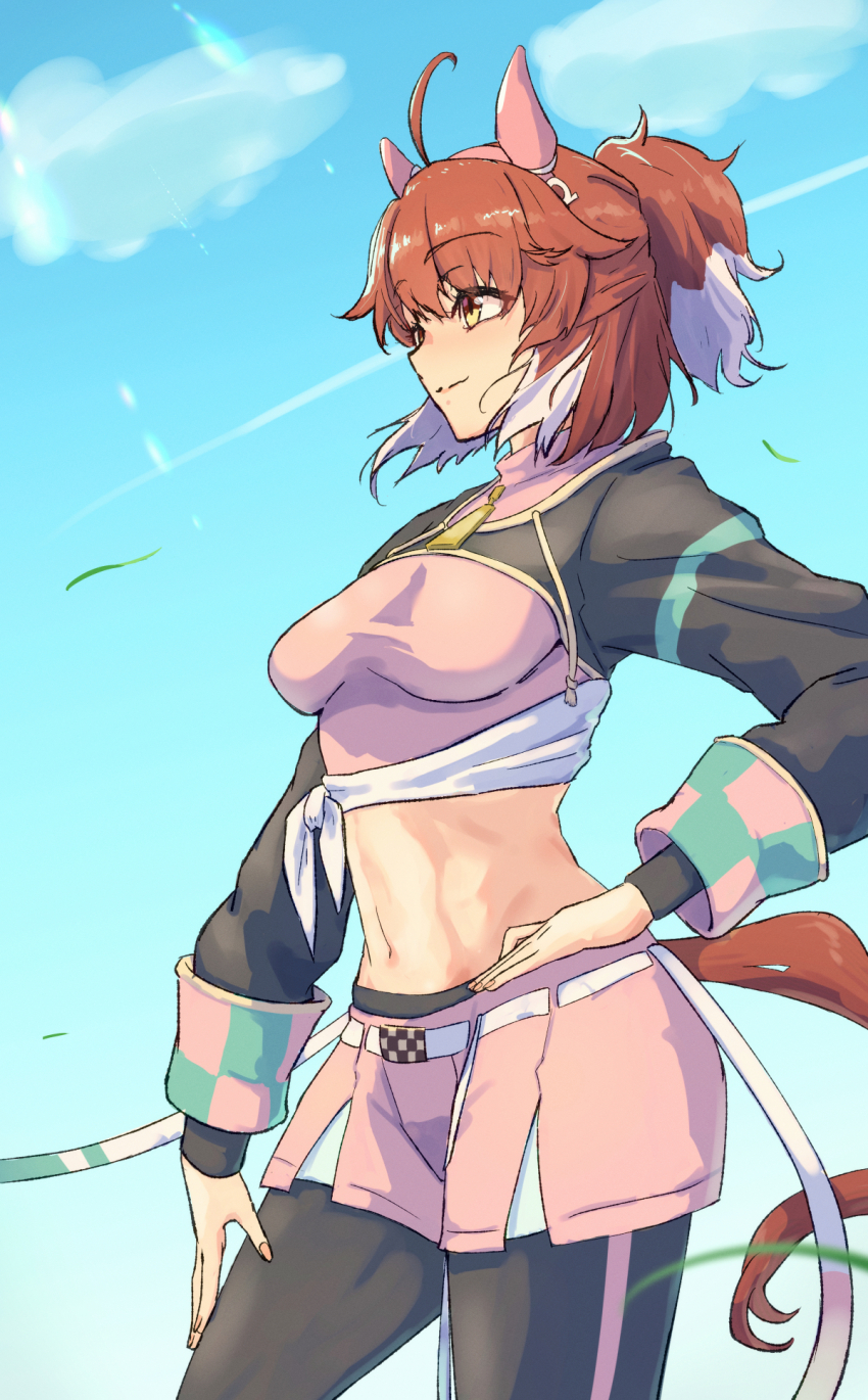 Dantsu Flame (Center Spotlight) (Umamusume) Rule 34 Image