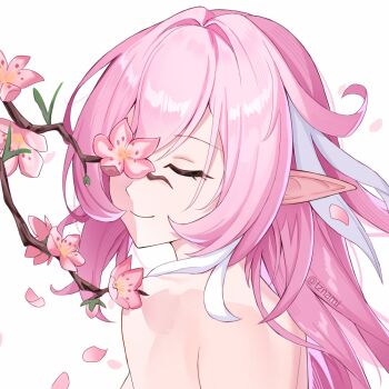 Elysia (Herrscher Of Human: Ego) (Honkai Impact) Rule 34 Image