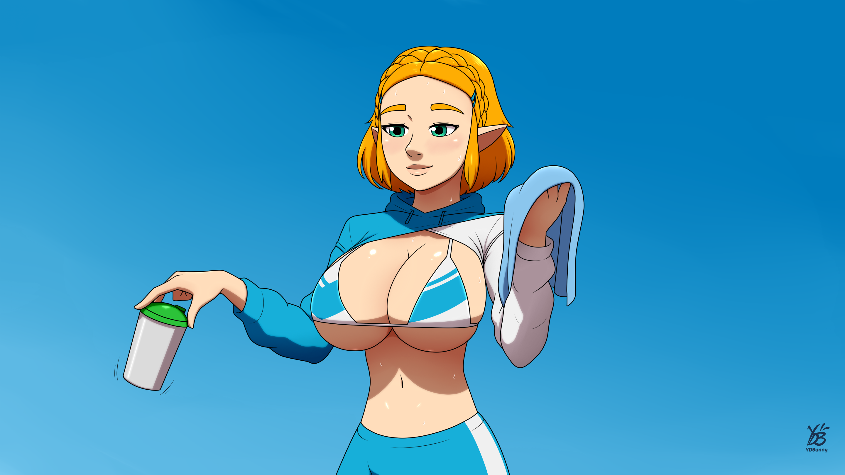 Princess Zelda (Nintendo) Rule 34 Image