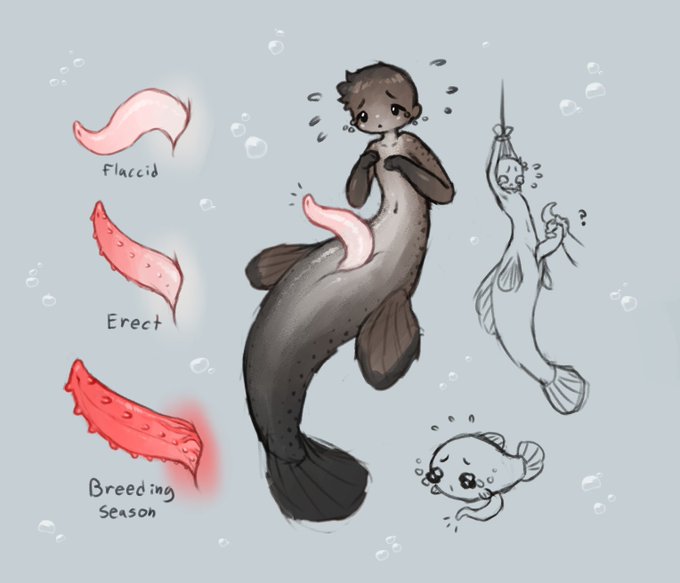 Animal Genitalia Rule 34 Image
