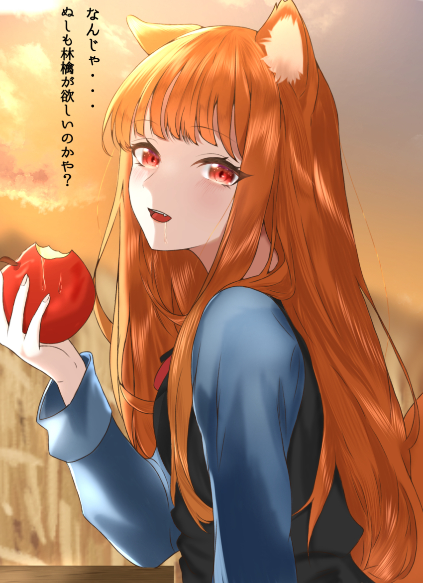 Holo (Spice And Wolf) Rule 34 Image