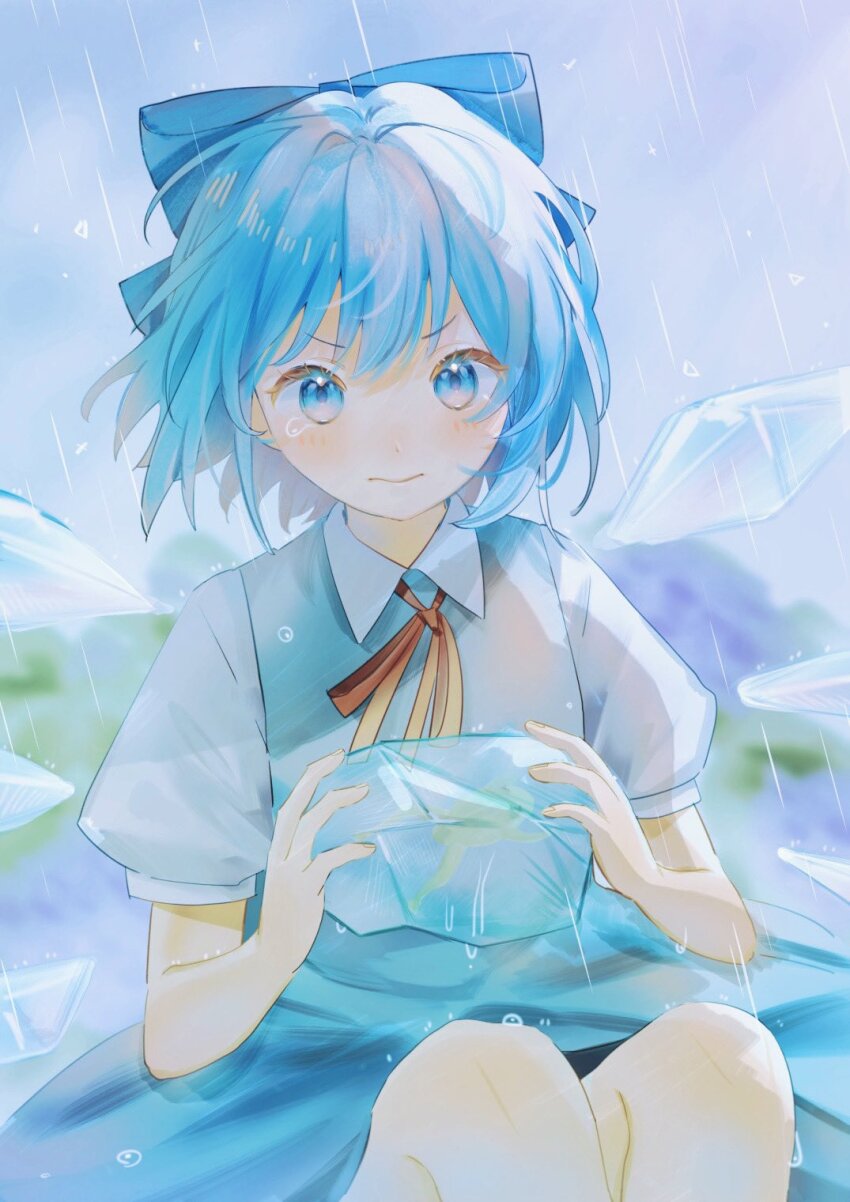 Cirno (Touhou) Rule 34 Image