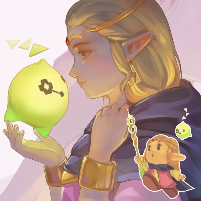 Princess Zelda (Nintendo) Rule 34 Image