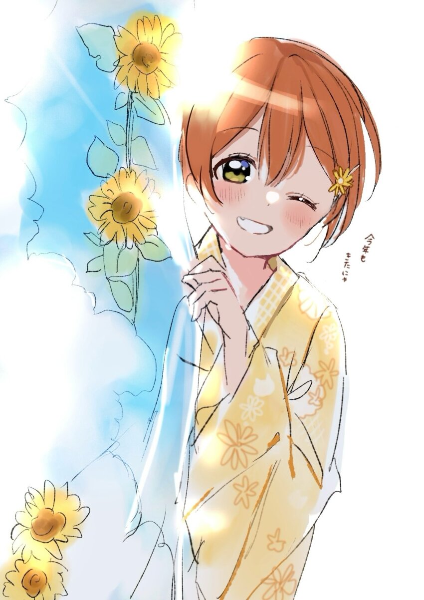 Hoshizora Rin (Love Live!) Rule 34 Image