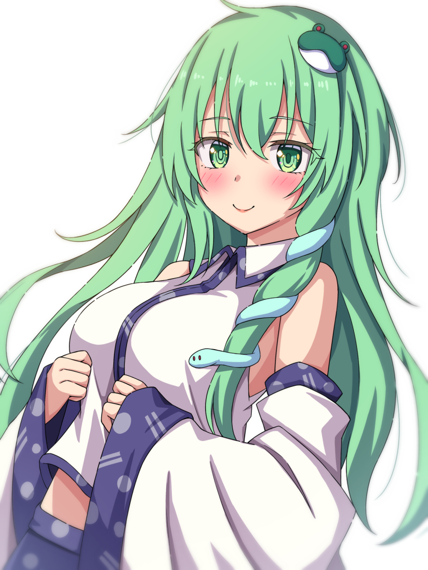 Kochiya Sanae (Touhou) Rule 34 Image