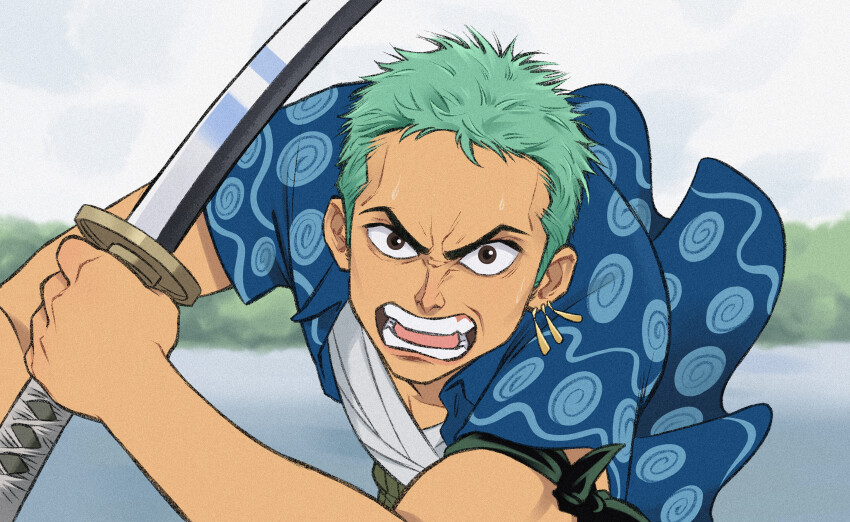 Roronoa Zoro (One Piece) Rule 34 Image