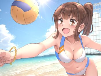 Volleyball (Object) Rule 34 Image