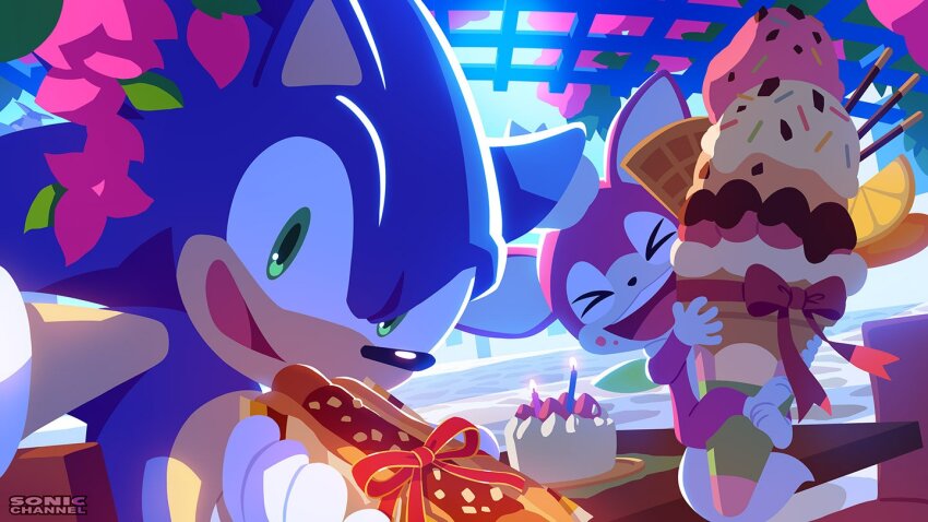 Big The Cat (Sega) Rule 34 Image