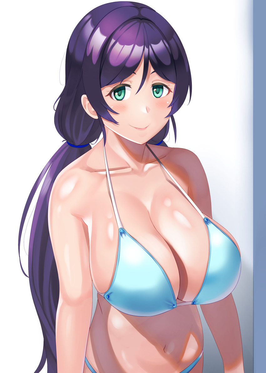 Tojo Nozomi (Love Live!) Rule 34 Image