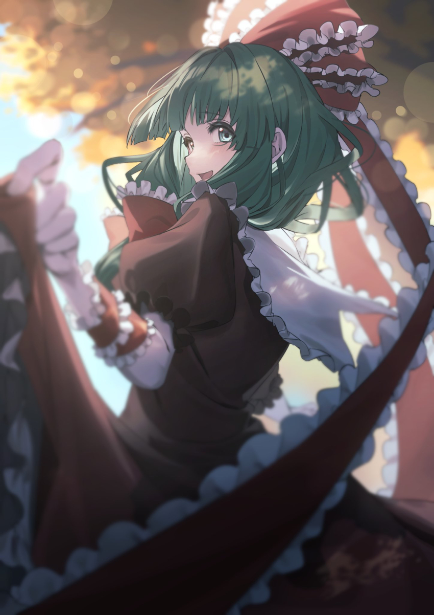 Kagiyama Hina (Touhou) Rule 34 Image