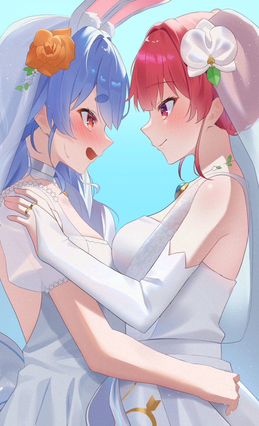 Houshou Marine (Hololive) Rule 34 Image
