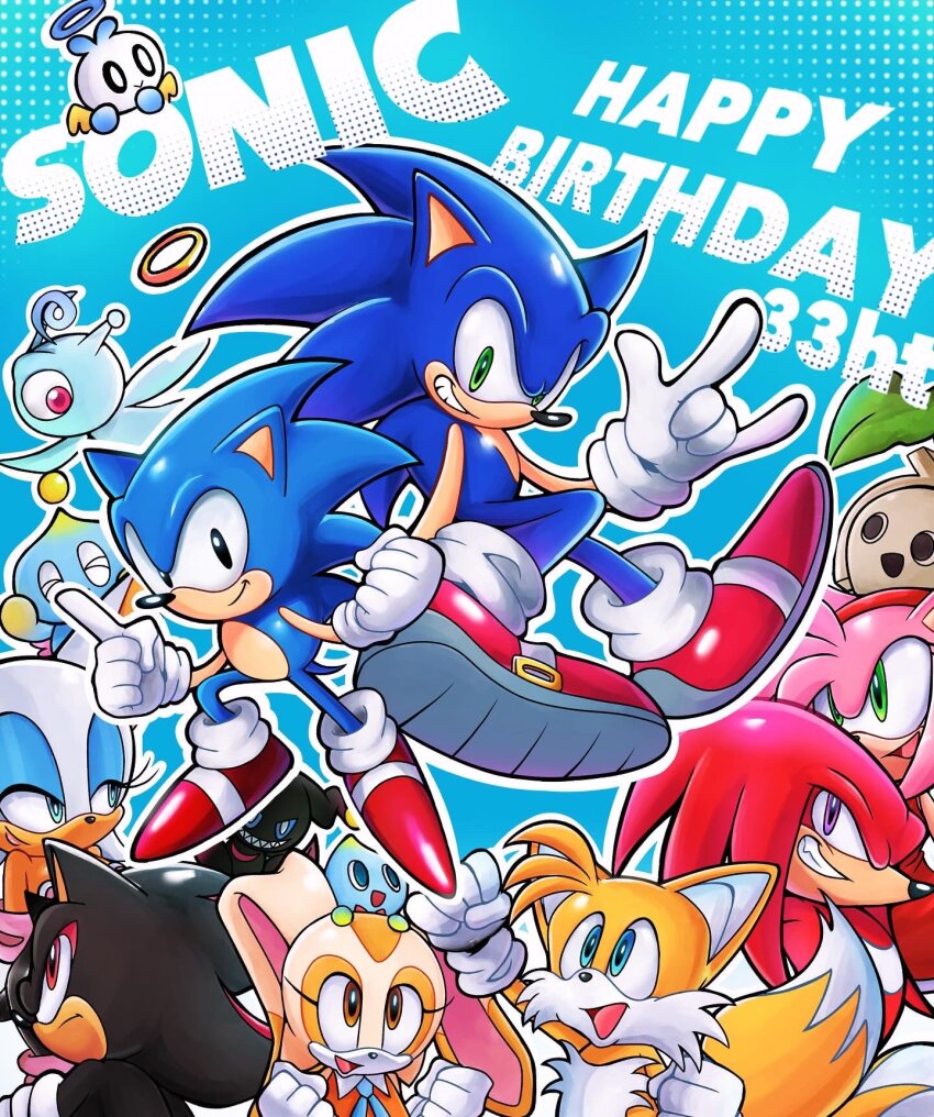 Amy Rose (Sonic (Series)) Rule 34 Image