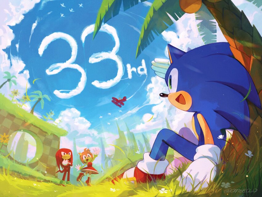 Amy Rose (Sonic (Series)) Rule 34 Image