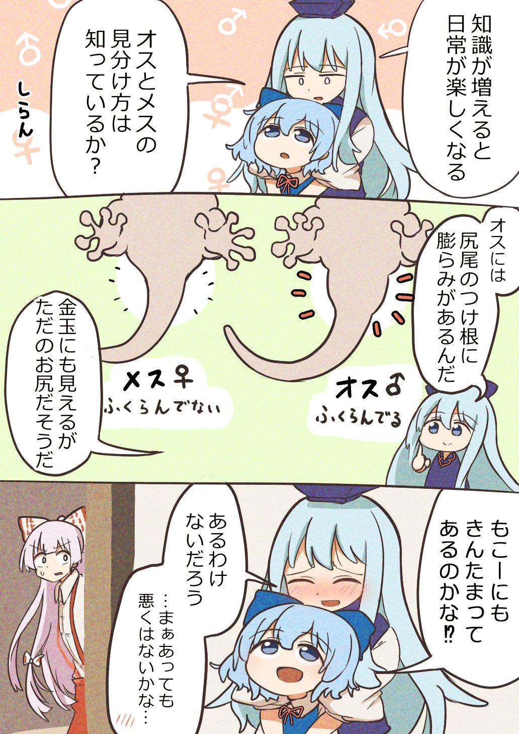 Cirno (Touhou) Rule 34 Image