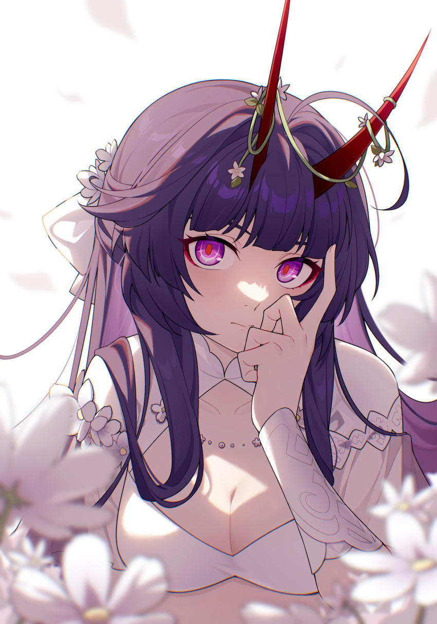 Raiden Mei (Honkai (Series)) Rule 34 Image