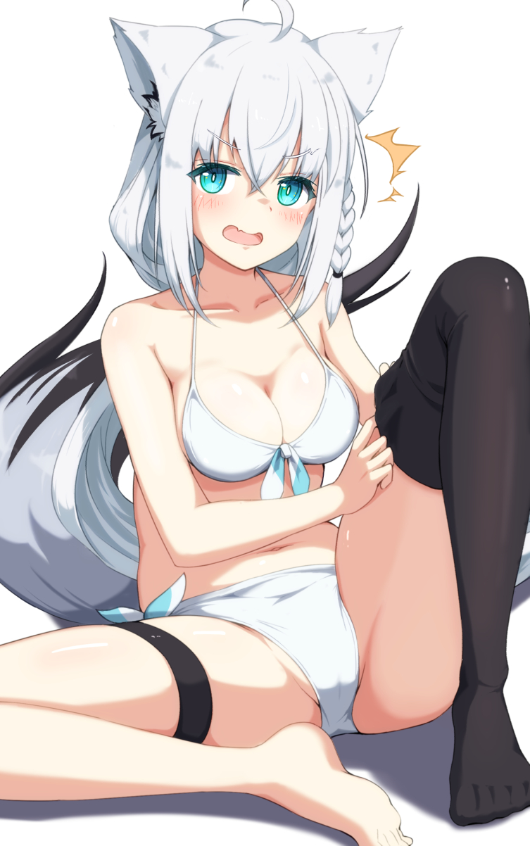 Shirakami Fubuki (Hololive) Rule 34 Image