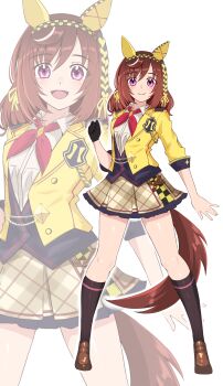 Buena Vista (Old Design) (Umamusume) Rule 34 Image
