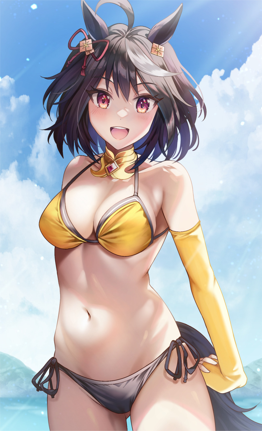 Kitasan Black (Umamusume) Rule 34 Image