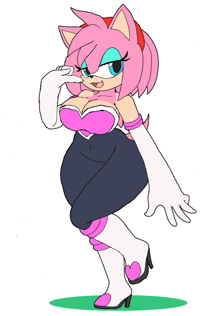 Amy Rose (Sonic (Series)) Rule 34 Image
