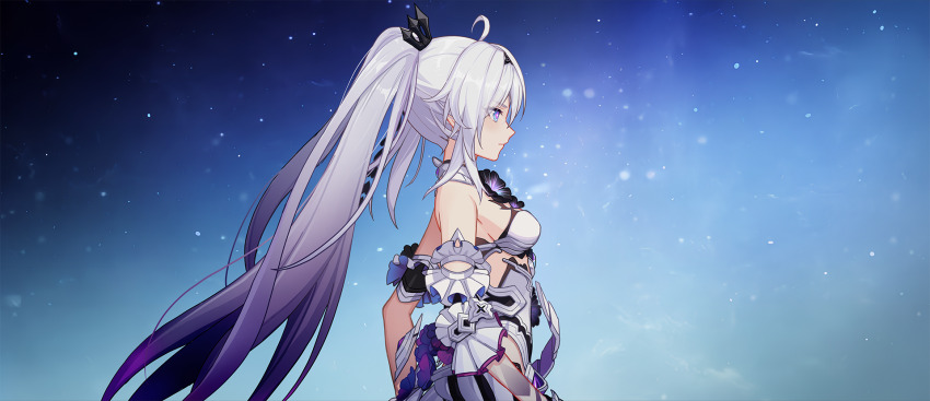 Kiana Kaslana (Honkai (Series)) Rule 34 Image