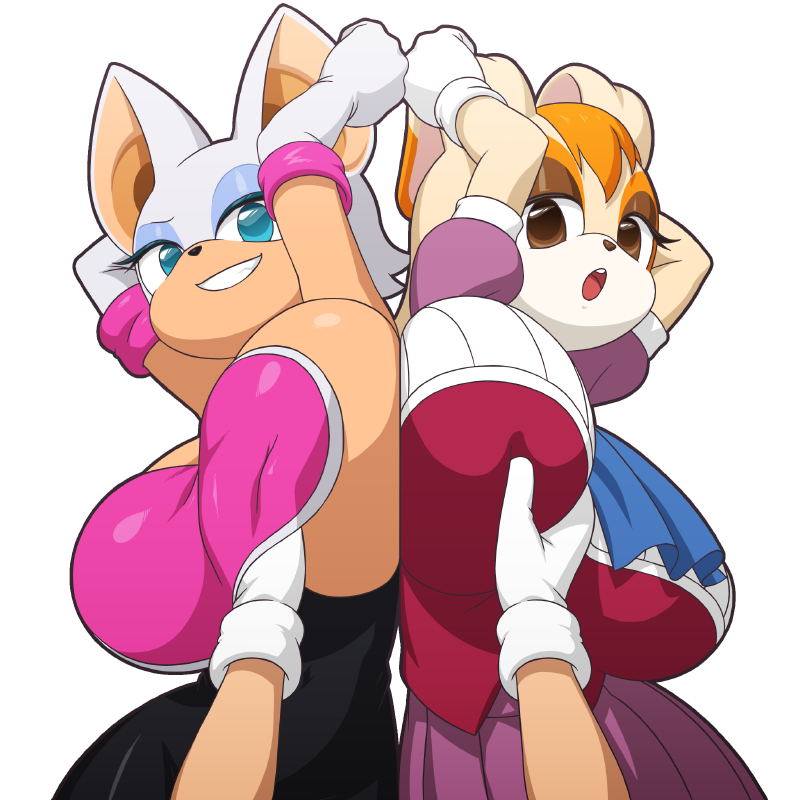Rouge The Bat (Sega) Rule 34 Image