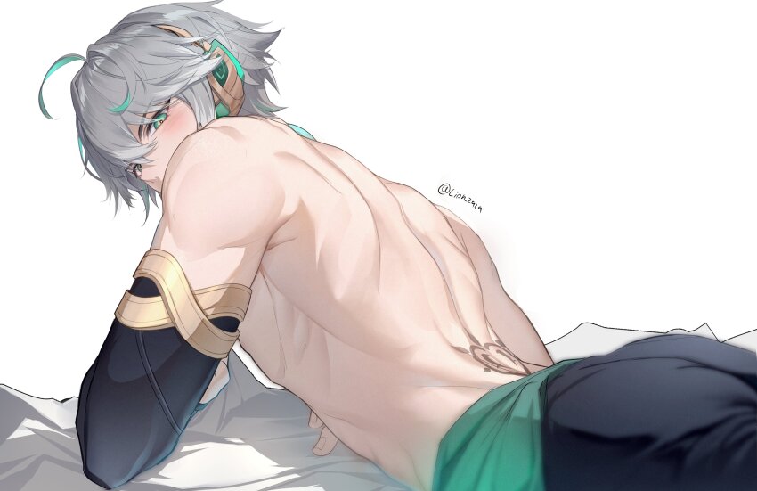 Alhaitham (Genshin Impact) Rule 34 Image
