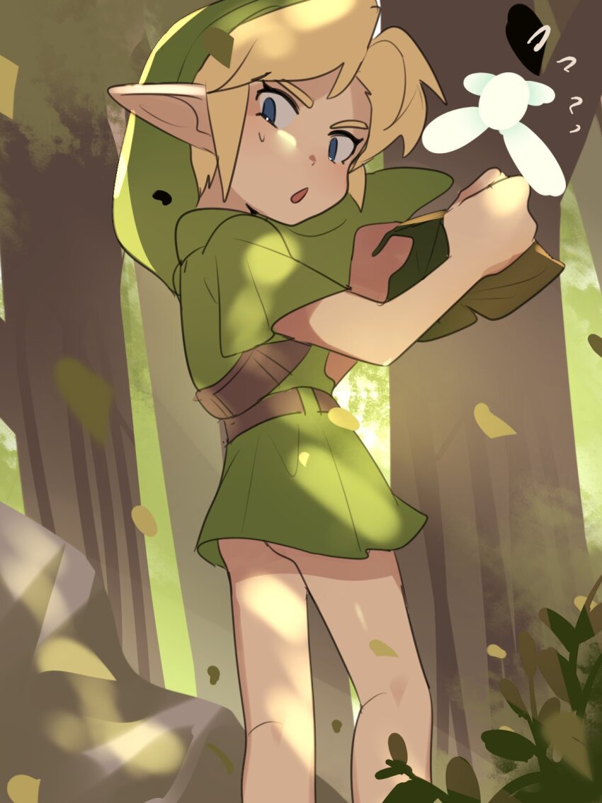 Link (Nintendo) Rule 34 Image