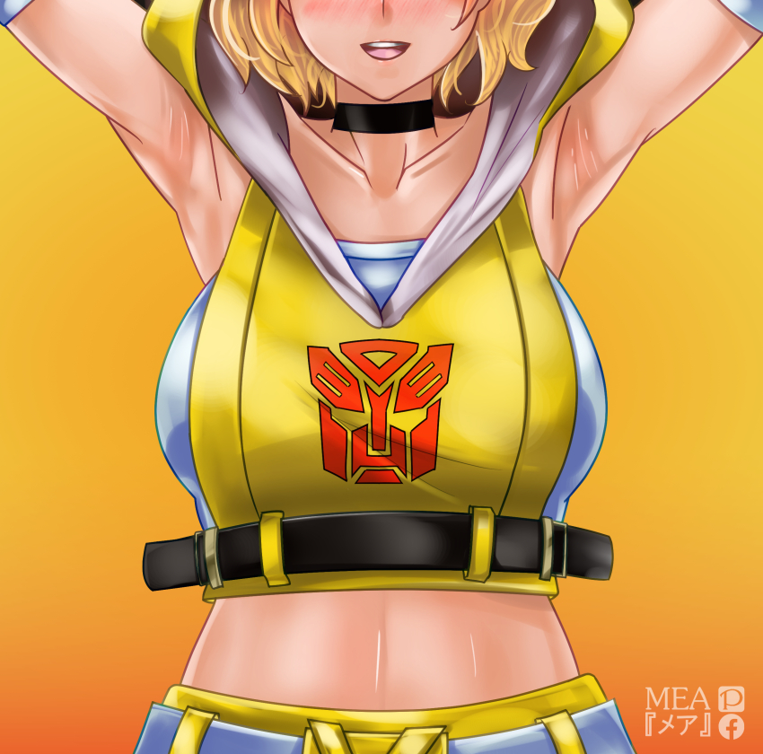 Bumblebee (Transformers) Rule 34 Image