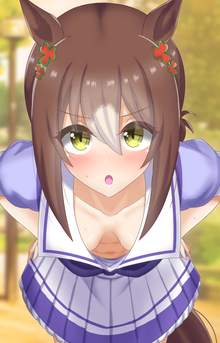 Fine Motion (Umamusume) Rule 34 Image