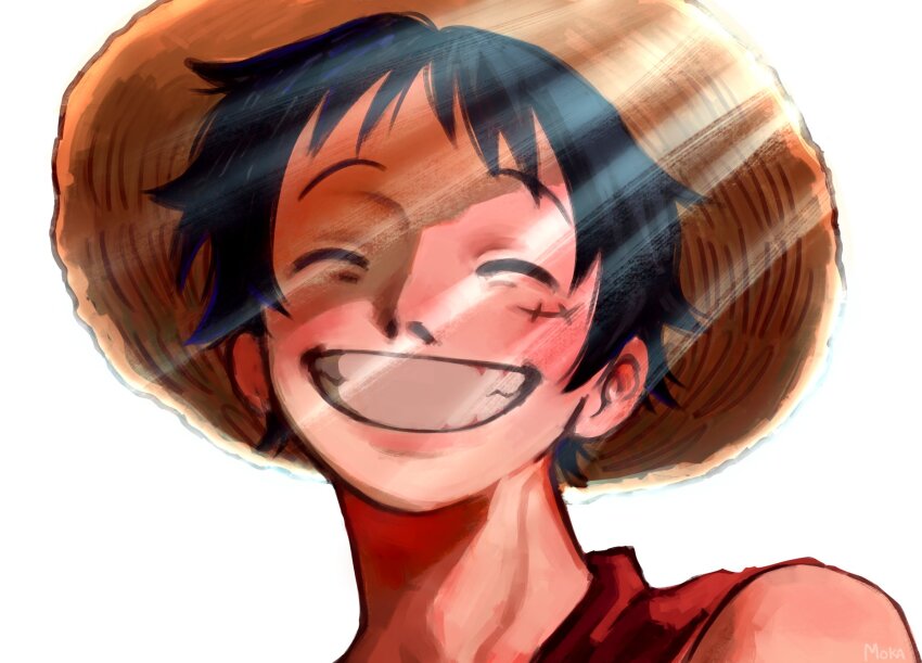 Monkey D. Luffy Rule 34 Image