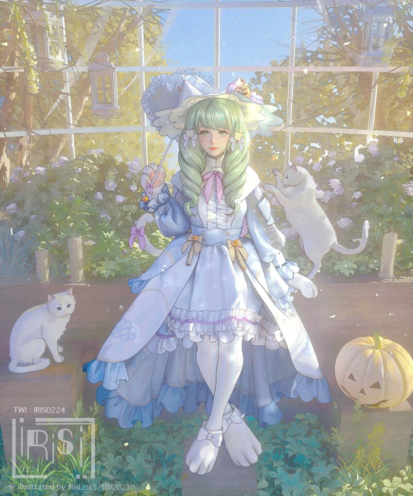 Flayn (Fire Emblem) Rule 34 Image