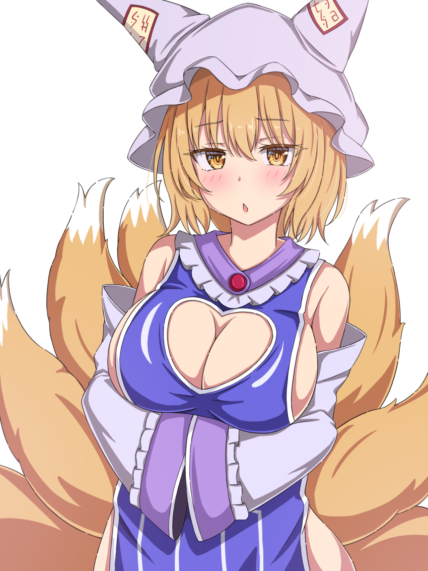 Yakumo Ran (Touhou) Rule 34 Image