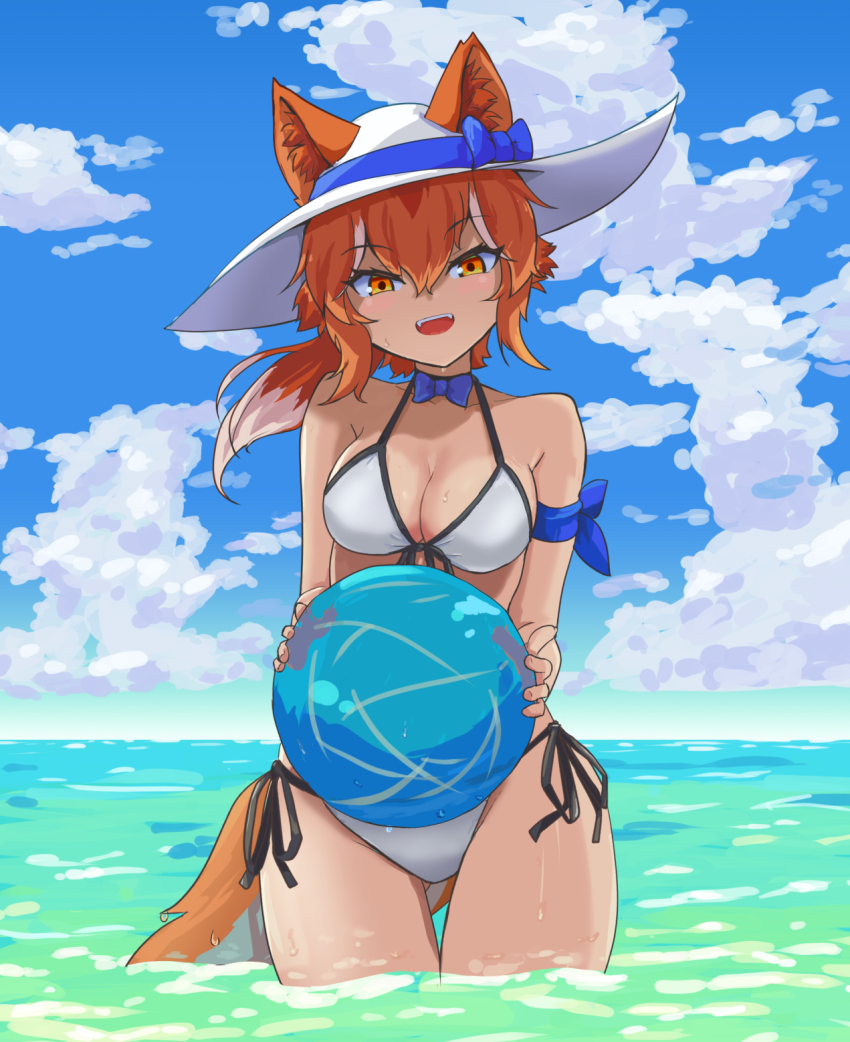 Dingo (Kemono Friends) Rule 34 Image
