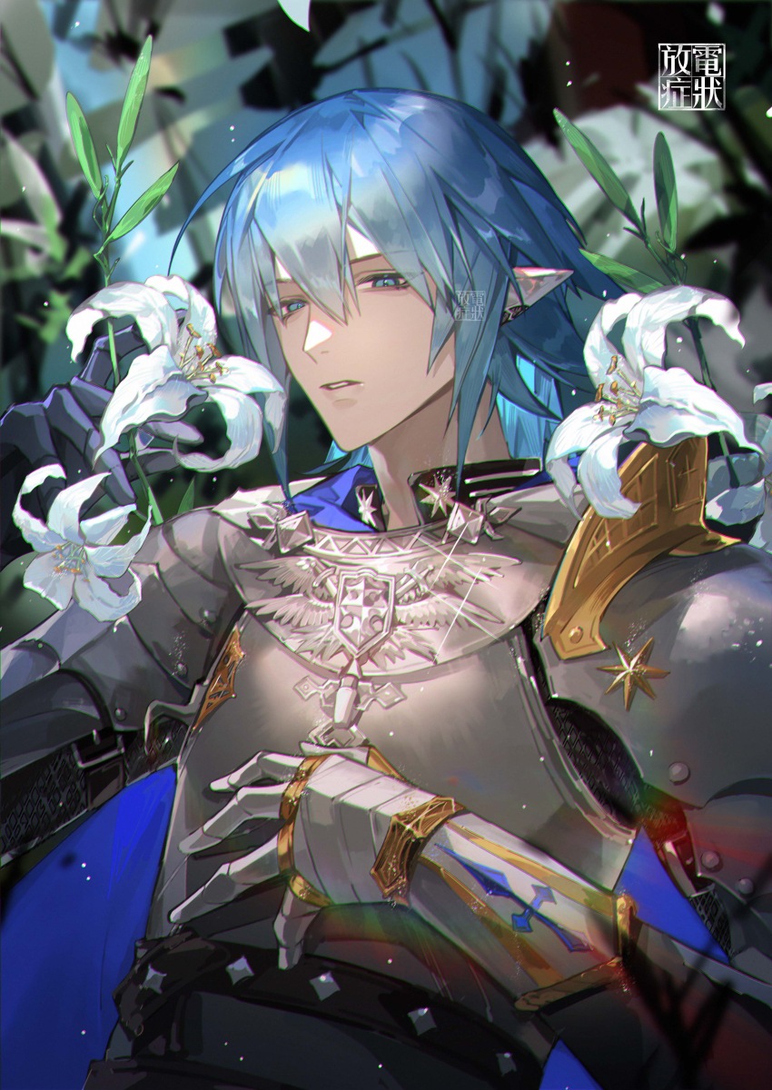 Elezen (Final Fantasy) Rule 34 Image