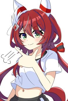Win Variation (Umamusume) Rule 34 Image