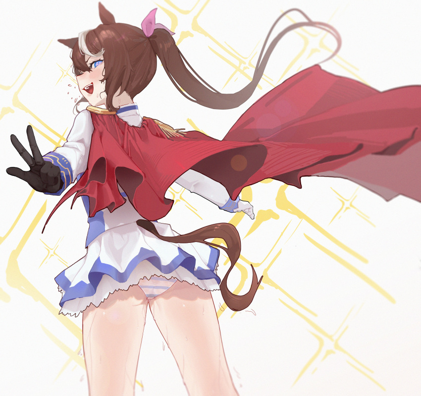Tokai Teio (Umamusume) Rule 34 Image