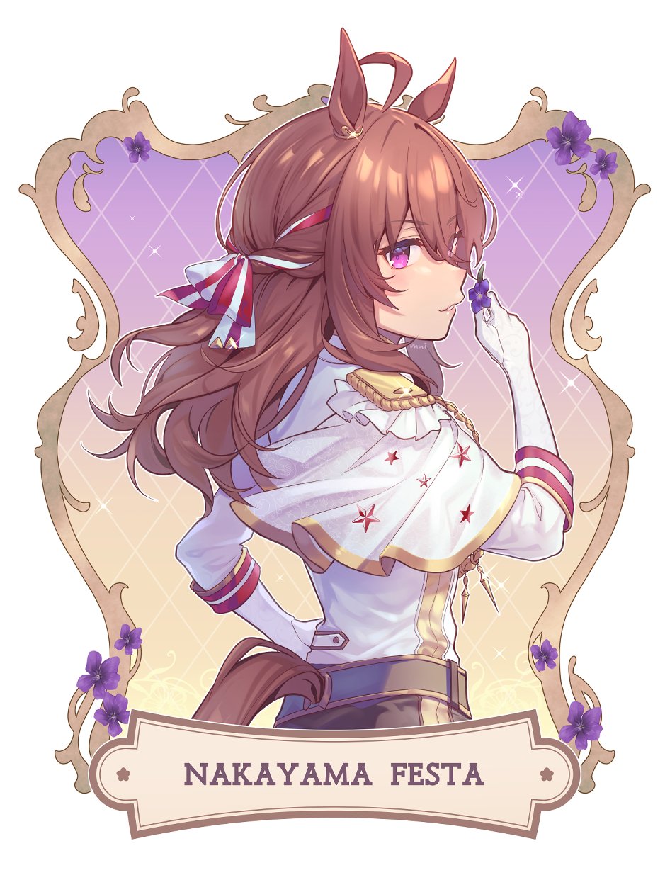 Nakayama Festa (Umamusume) Rule 34 Image