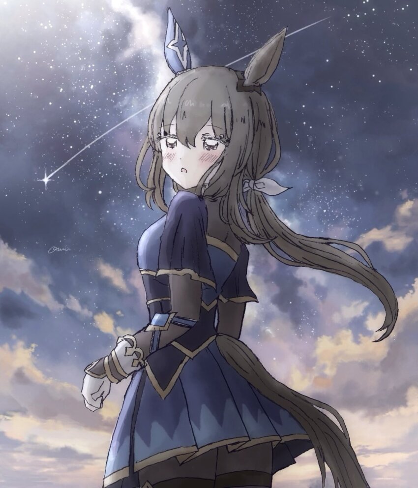 Admire Vega (Umamusume) Rule 34 Image