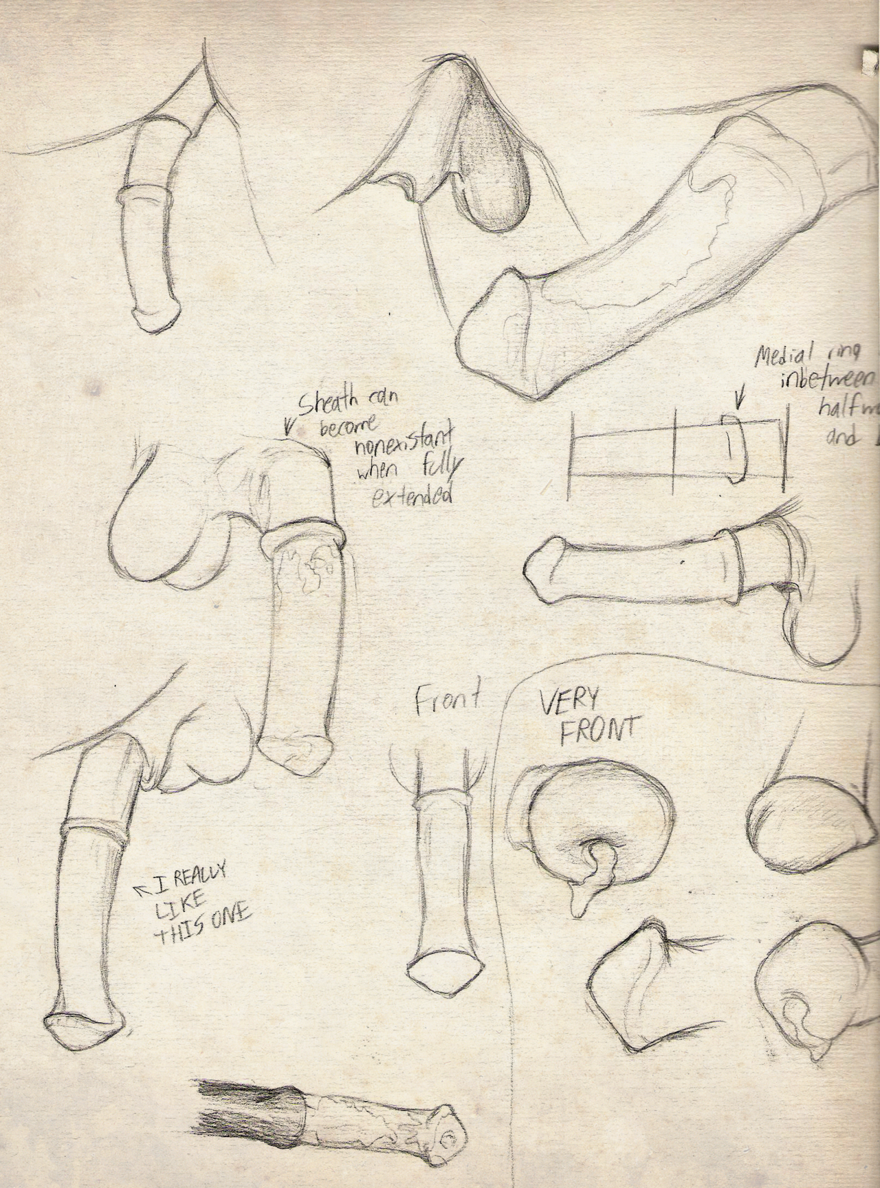 Balls Rule 34 Image