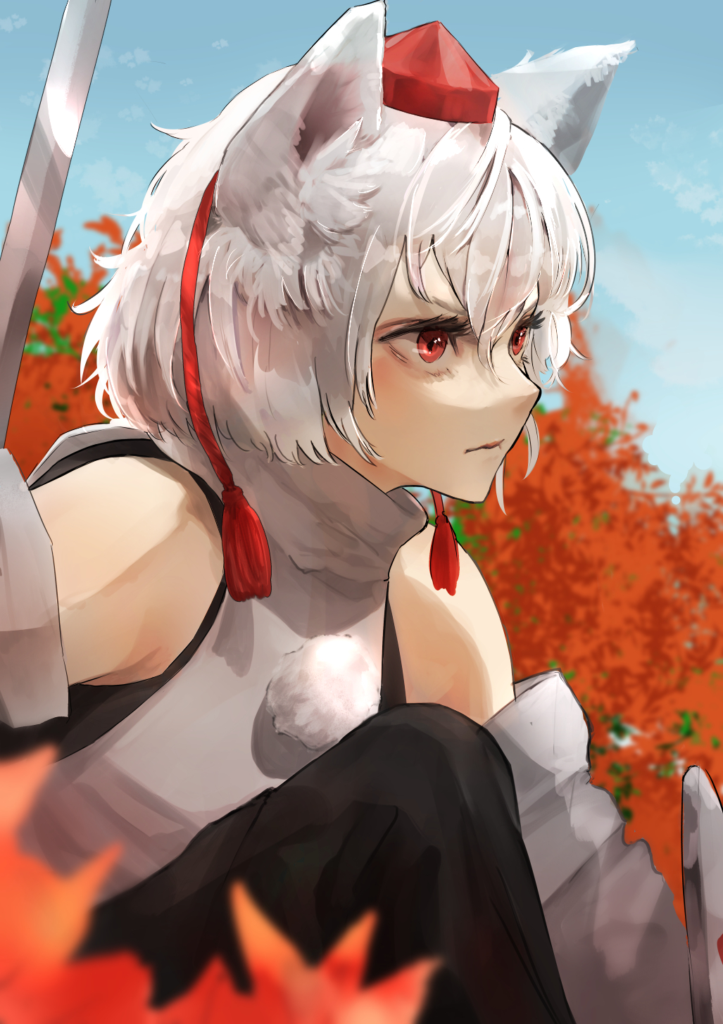Inubashiri Momiji (Touhou) Rule 34 Image