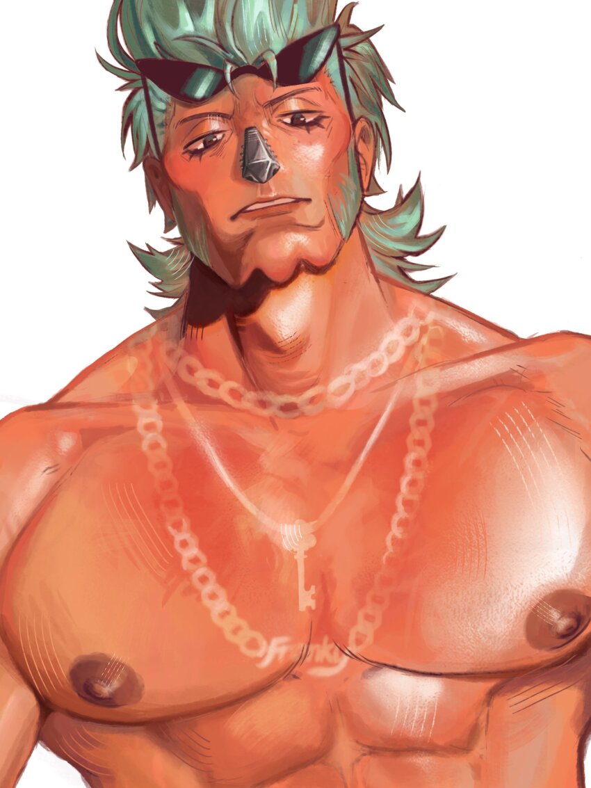 Franky (One Piece) Rule 34 Image