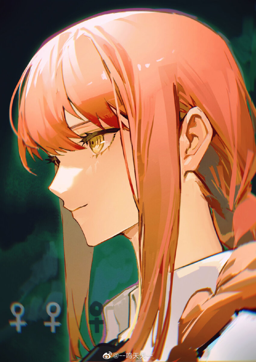Makima (Chainsaw Man) Rule 34 Image