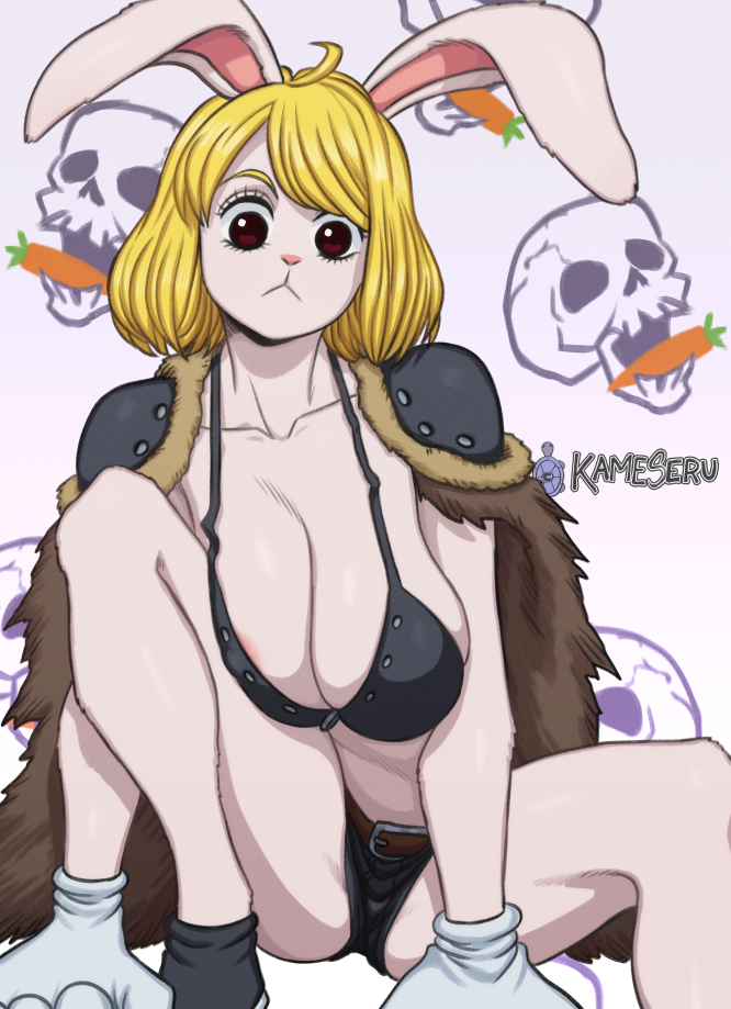 Beast Pirates (One Piece) Rule 34 Image