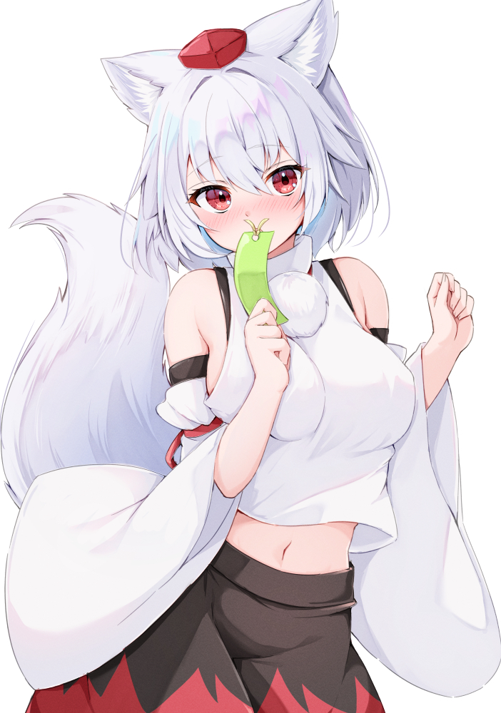 Inubashiri Momiji (Touhou) Rule 34 Image