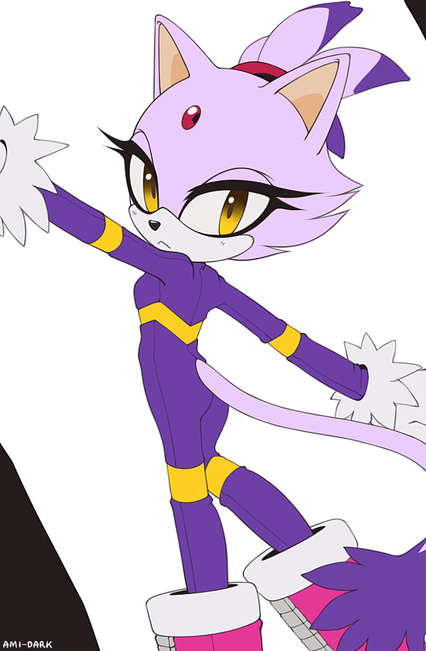 Blaze The Cat (Sonic (Series)) Rule 34 Image