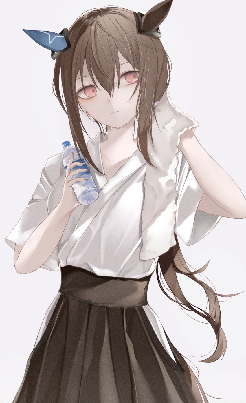 Admire Vega (Umamusume) Rule 34 Image