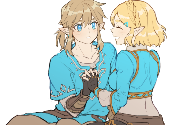 Link (Nintendo) Rule 34 Image
