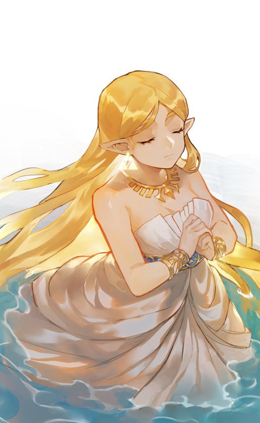 Princess Zelda (Nintendo) Rule 34 Image