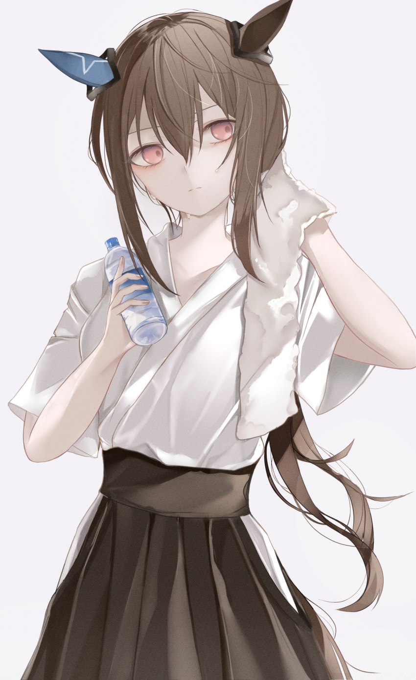 Admire Vega (Umamusume) Rule 34 Image